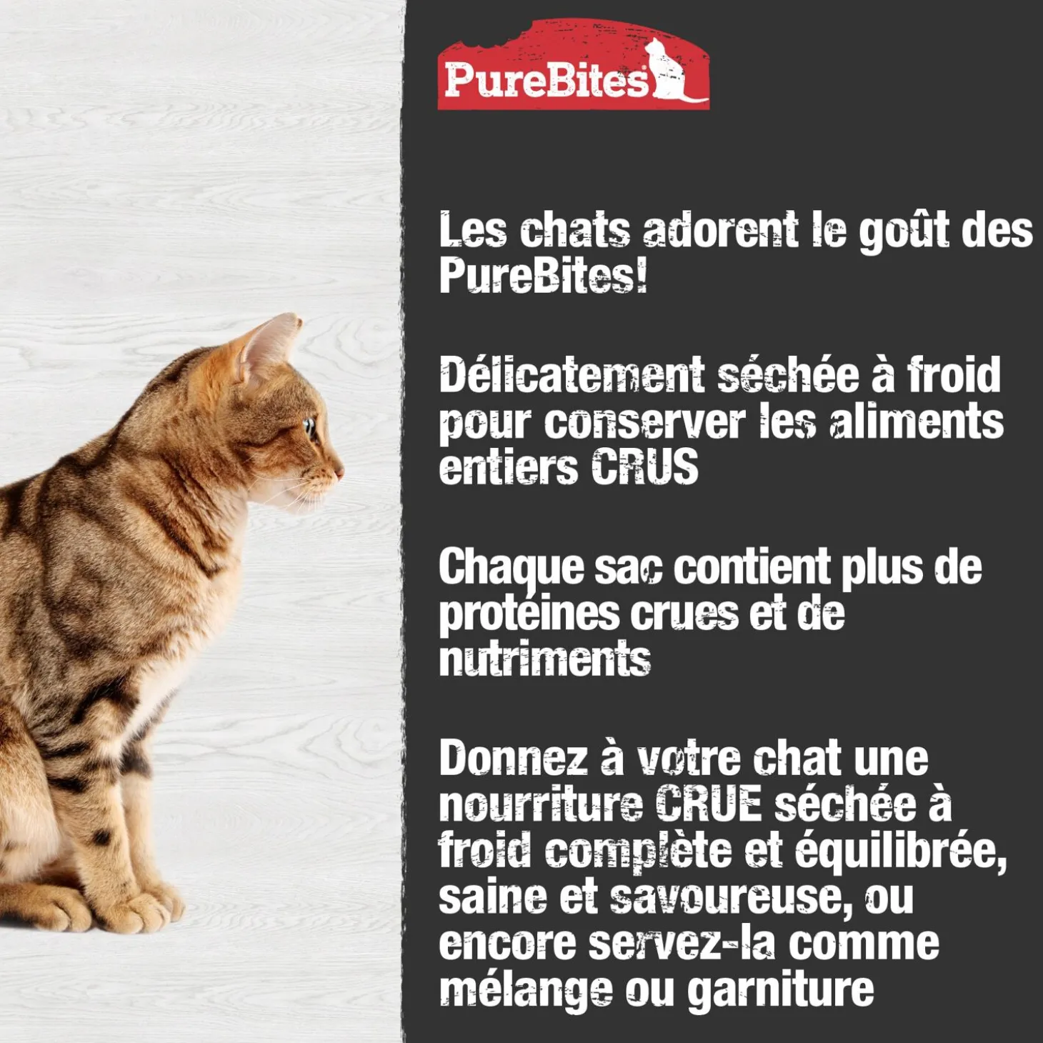 Chicken Recipe Cat Food Topper, 80g