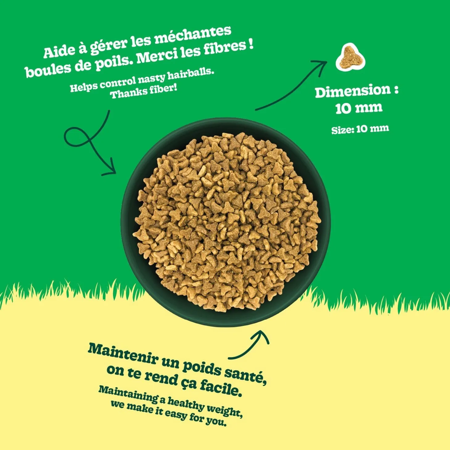 Chicken Recipe Dry Food for Adult Cats, 10 kg