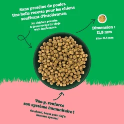 Chicken Recipe with Lamb Dry Food for All Breed Adult Dogs, 4 kg