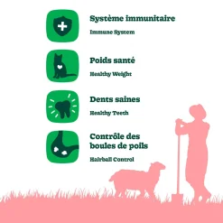 Chicken Recipe with Lamb Dry Food for Adult Cats, 10 kg