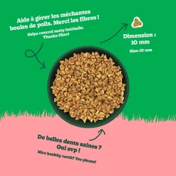 Chicken Recipe with Lamb Dry Food for Adult Cats, 10 kg