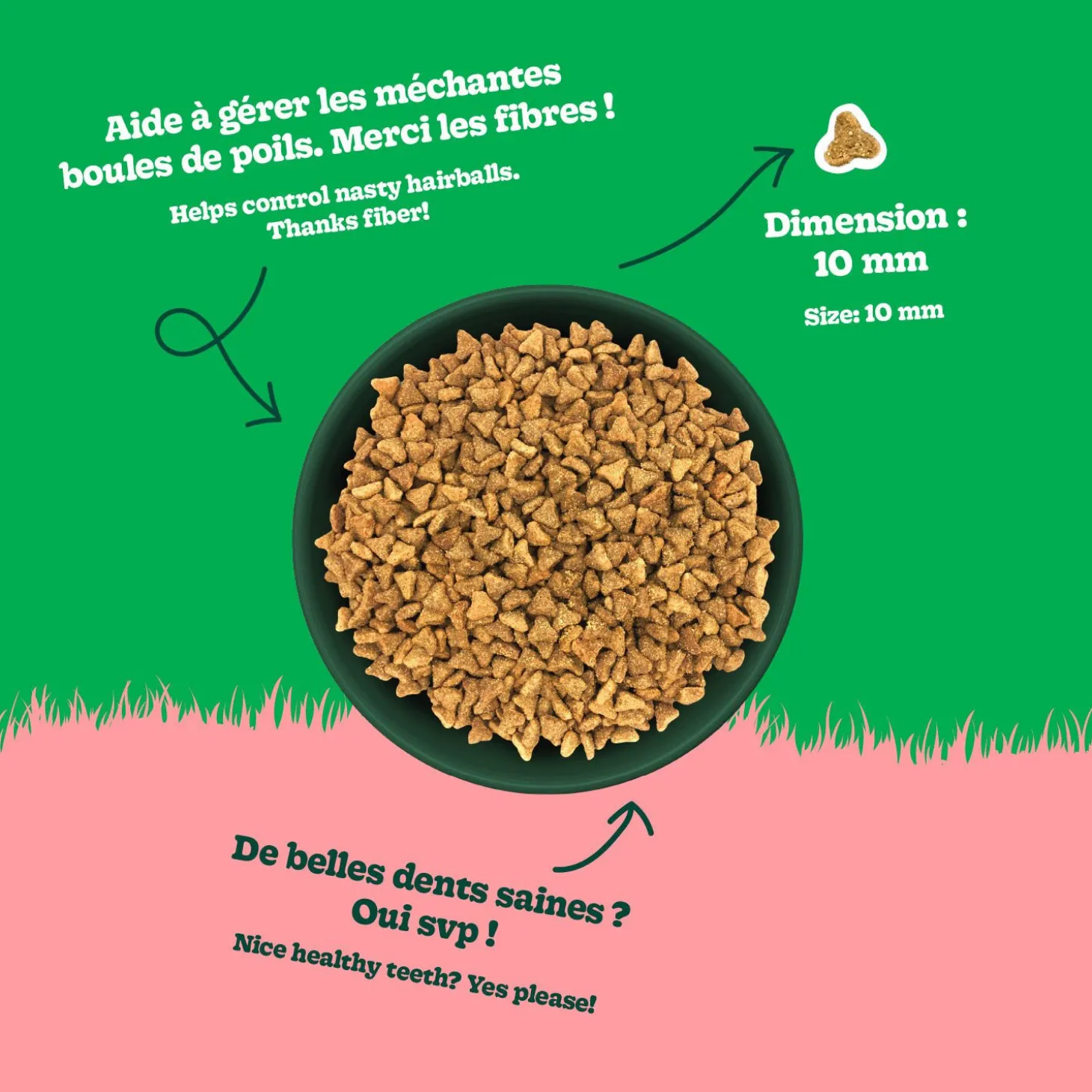 Chicken Recipe with Lamb Dry Food for Adult Cats, 10 kg