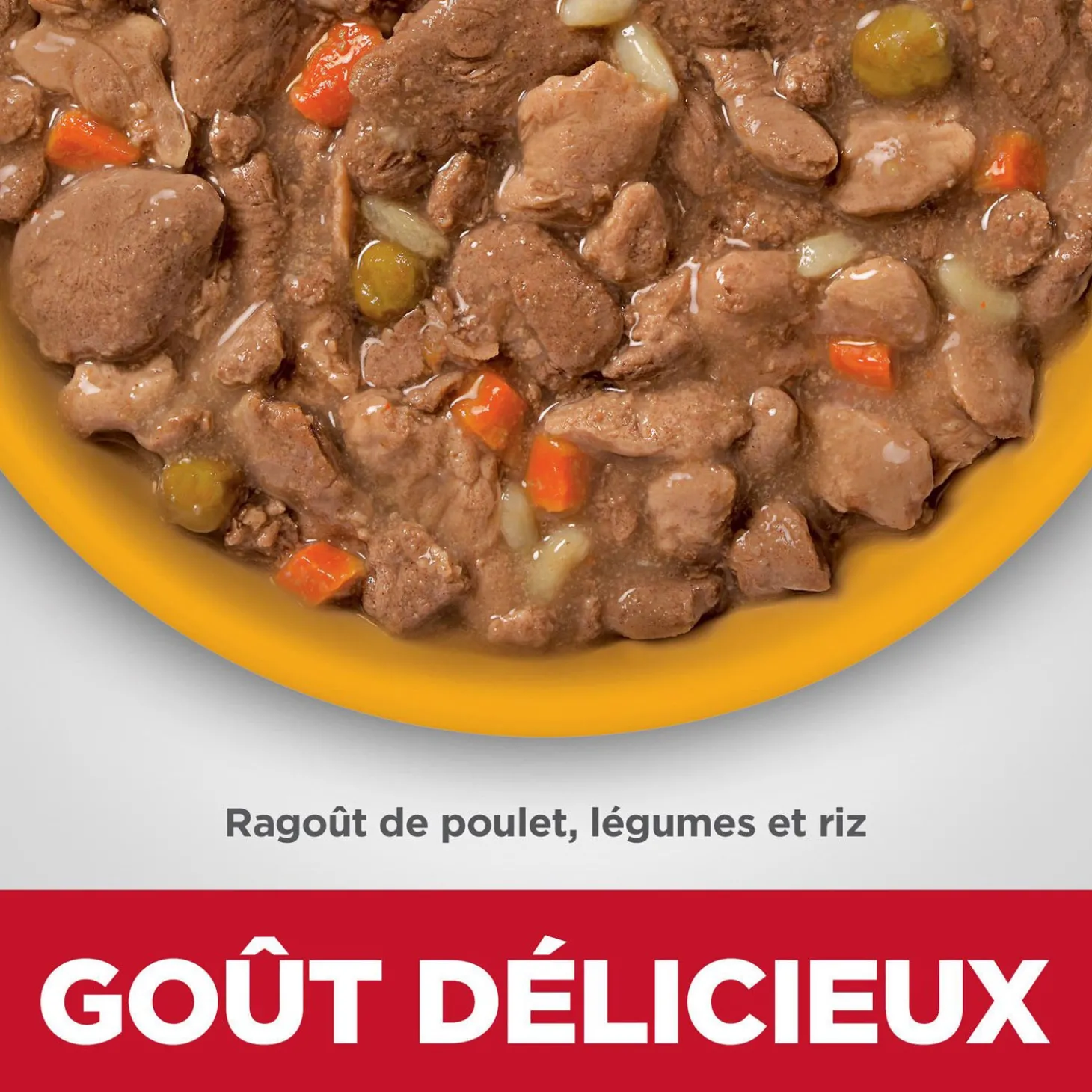 Chicken, Vegetable & Rice Stew Adult Perfect Digestion Wet Dog Food, 363 g