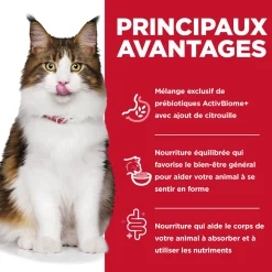 Chicken, Vegetable & Rice Stew Perfect Digestion formula for Adult Cats, 82 g