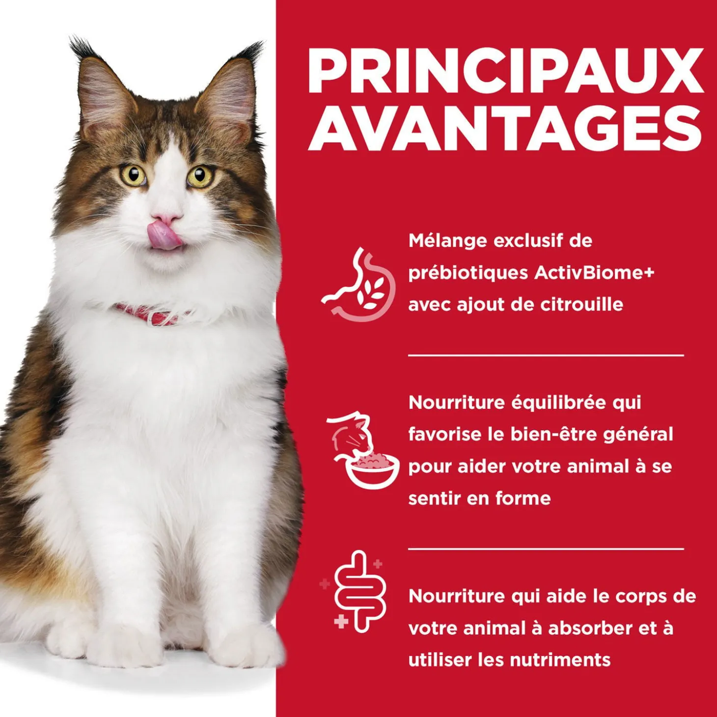 Chicken, Vegetable & Rice Stew Perfect Digestion formula for Adult Cats, 82 g