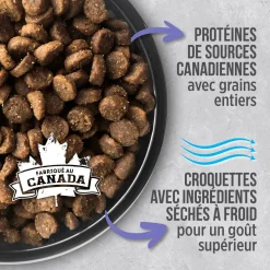 Chicken weight control formula for adult cats