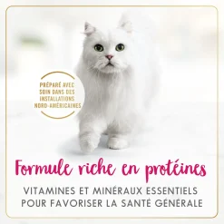 Chicken wet food for adult cats