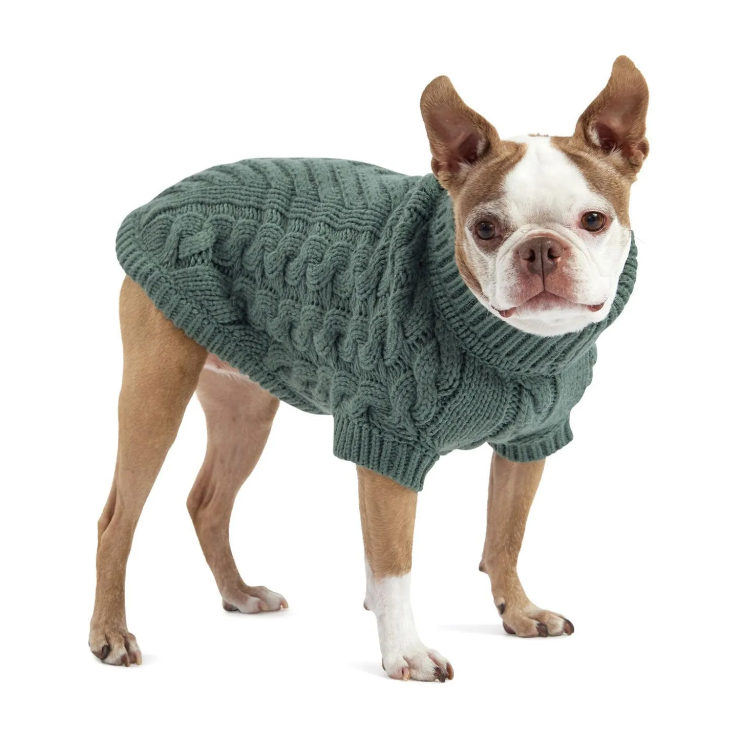 Chunky Cable Knit Turtleneck Chalet Sweater for Dogs