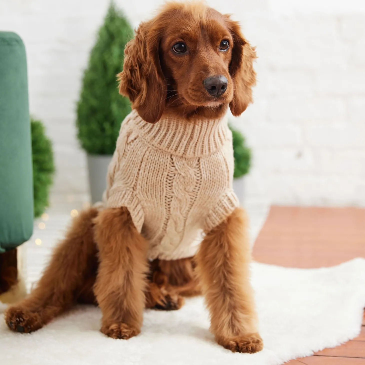 Chunky Cable Knit Turtleneck Chalet Sweater for Dogs