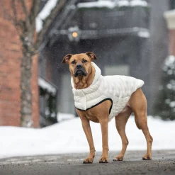 Cloud Parka for Dogs