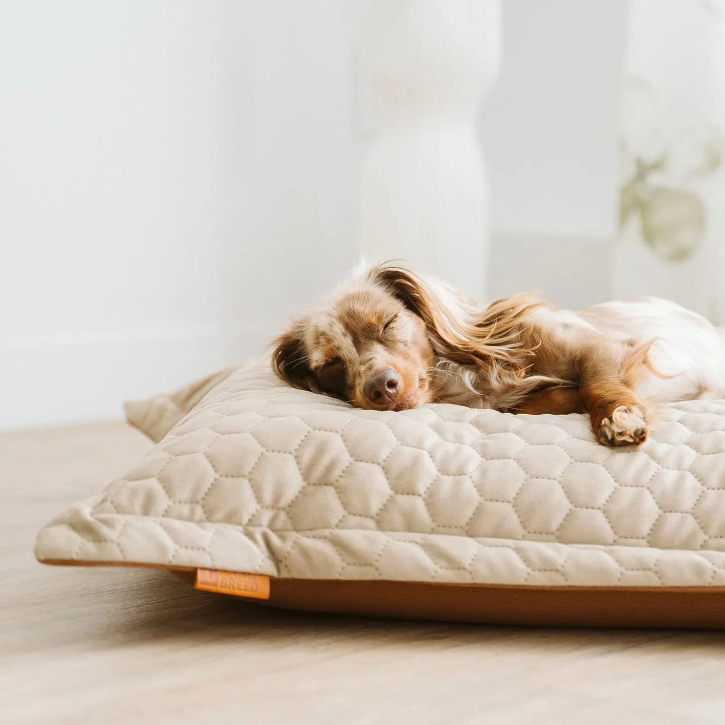 Cloud Pillow Faux Leather Cover, Honeycomb