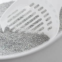 Clumping Litter