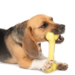 Coconut Flavored Bone