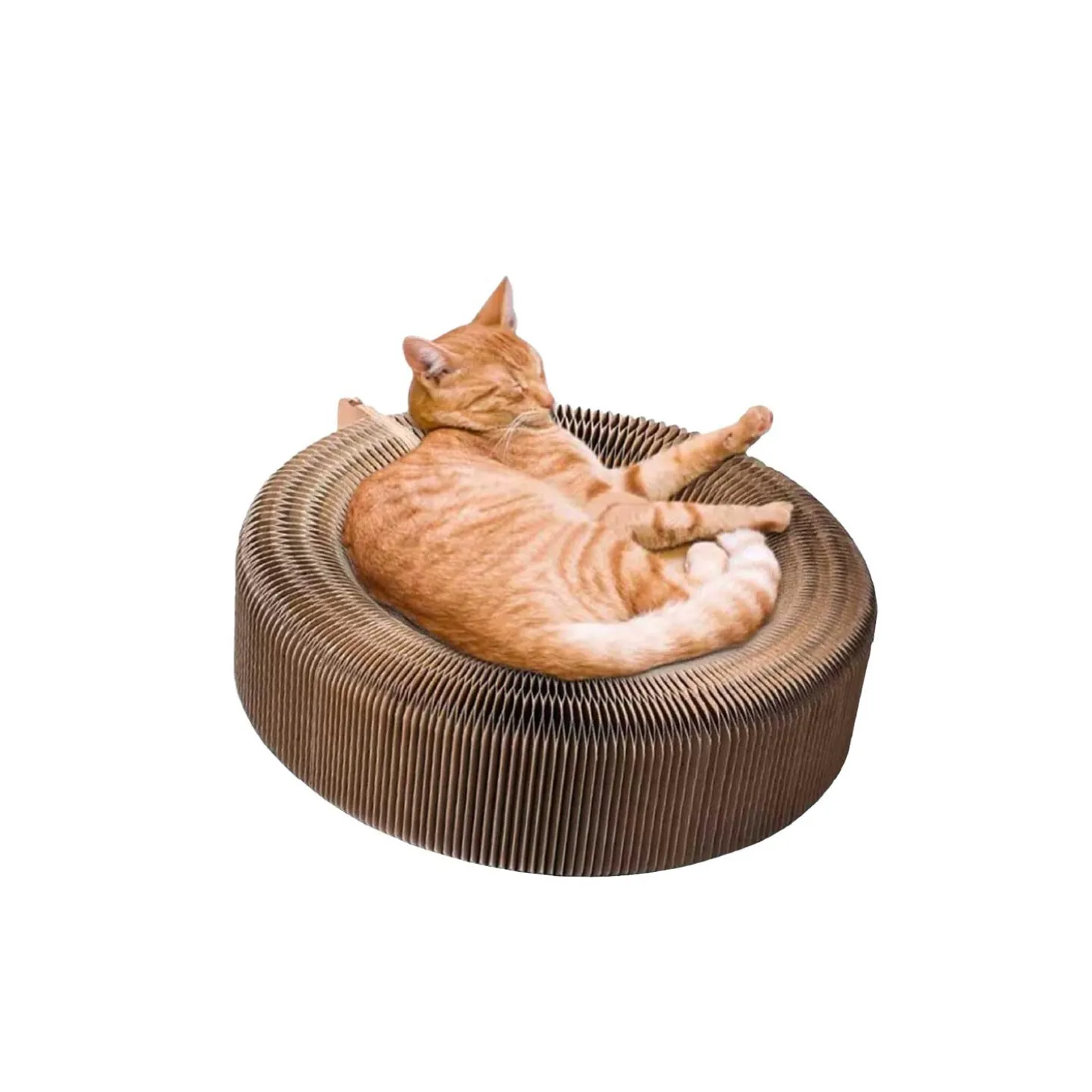 Collapsable Cat Scratcher