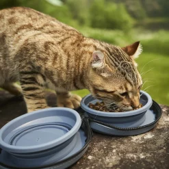 Collapsible Portable Silicone pet Bowls