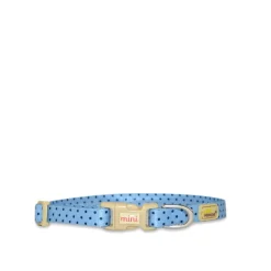 Collar for Tiny Dogs, blue dots