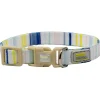 Collar with Stripes for Small Dogs