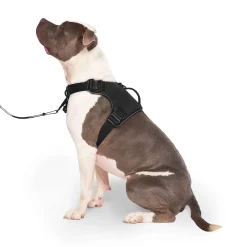 Complete Control Harness for Dogs