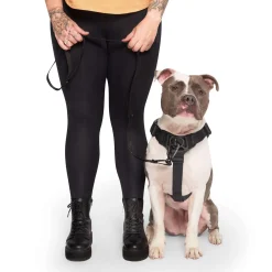 Complete Control Harness for Dogs