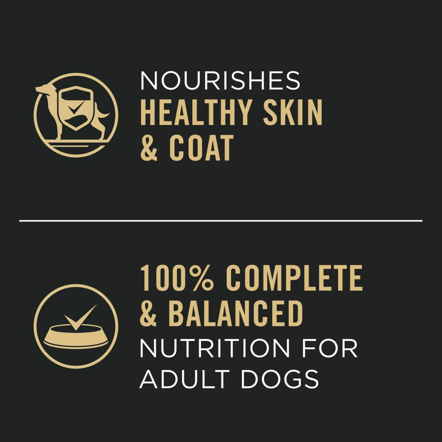 Complete Essentials Beef & Rice Entrée Dog Food, 368 g