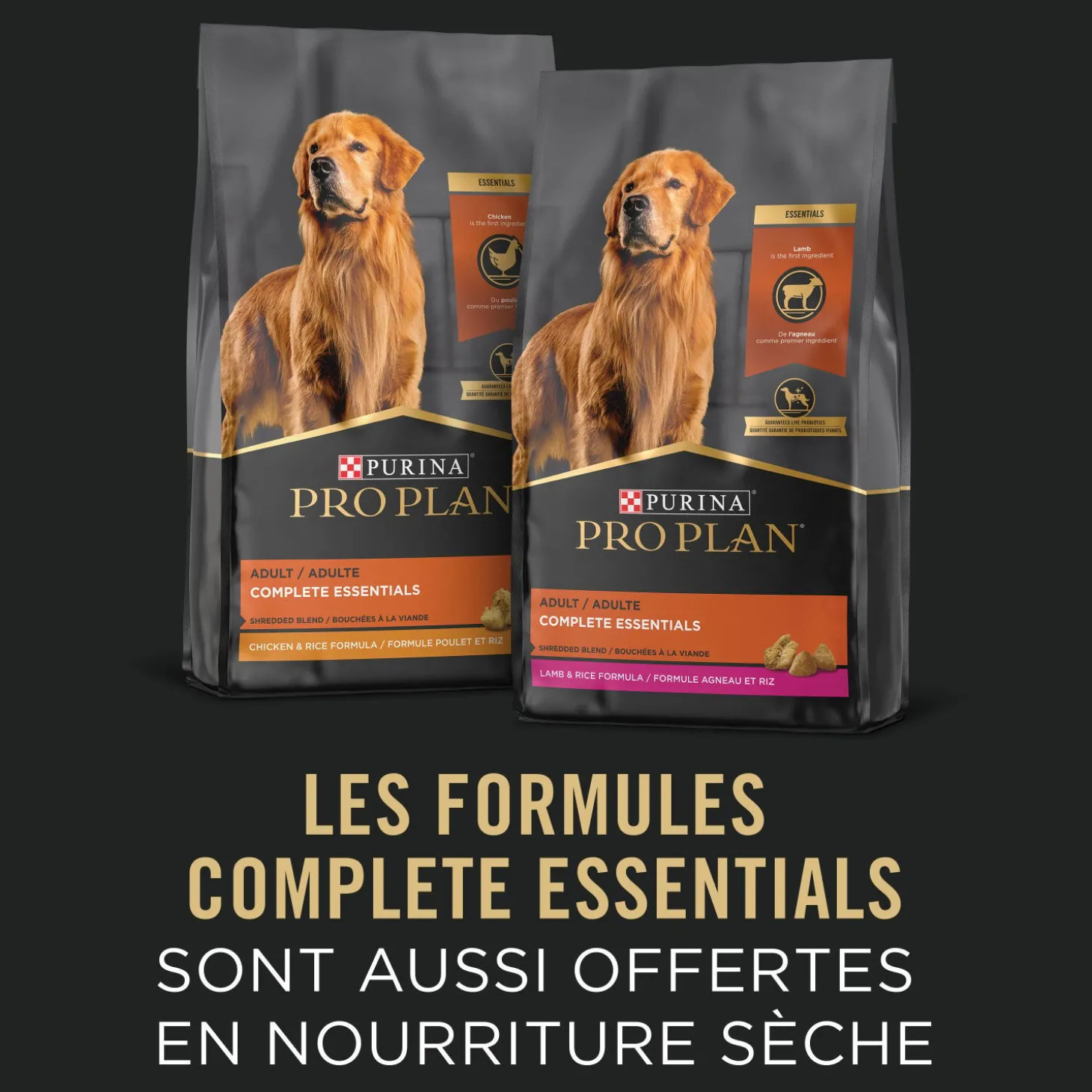 Complete Essentials Beef & Rice Entrée Dog Food, 368 g