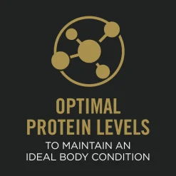 Complete Essentials Classic Adult 7+ Senior Chicken & Rice Entrée for Dogs, 368 g