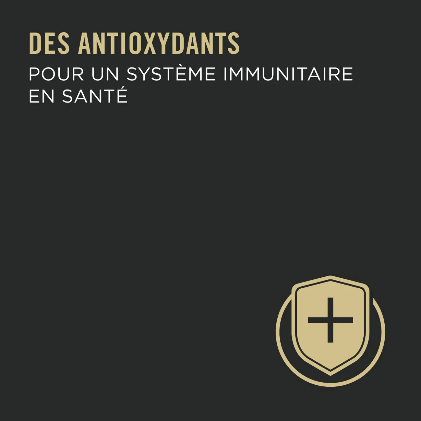 Complete Essentials Tuna, Shrimp & Rice Entrée in sauce for Cats, 85 g