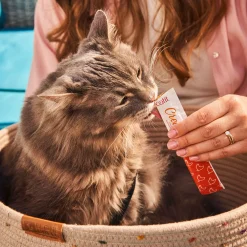 Confetti Cotton Pet Basket