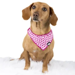 Cotton bandana for dogs and cats