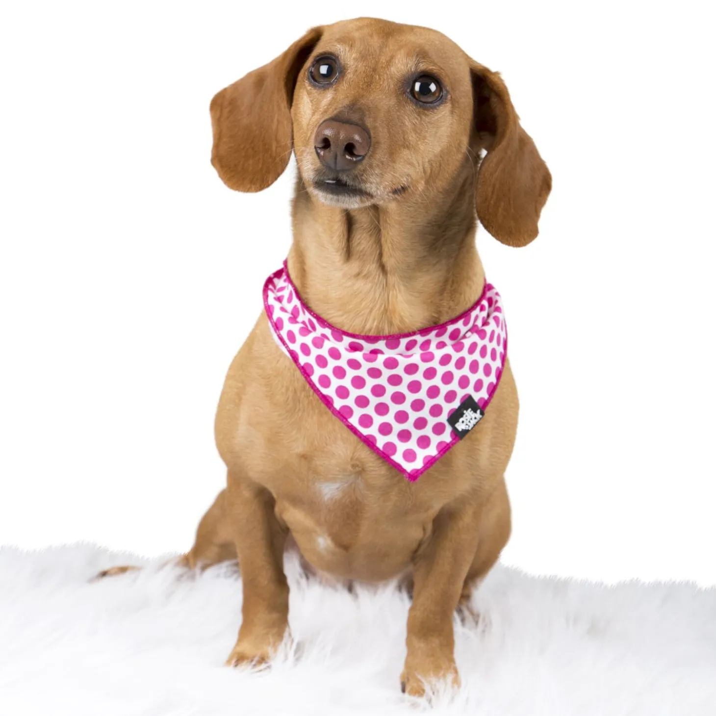 Cotton bandana for dogs and cats