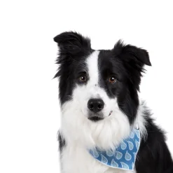 Cotton bandana for dogs and cats