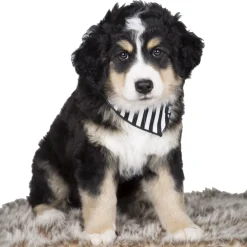 Cotton bandana for dogs and cats