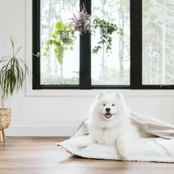 Cozy Cave Cloud Pillow