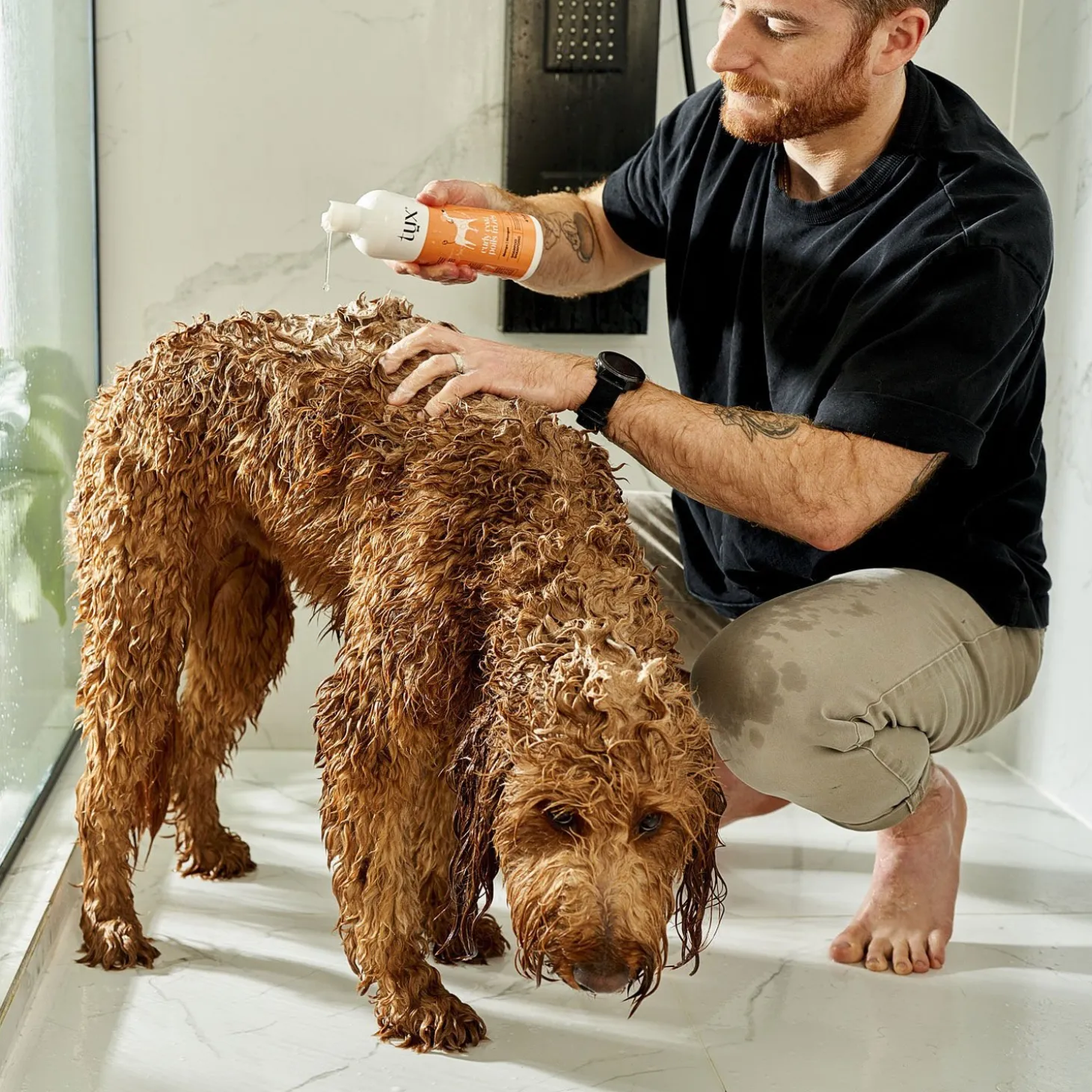Curly Coat Shampoo for Dogs, 475 ml