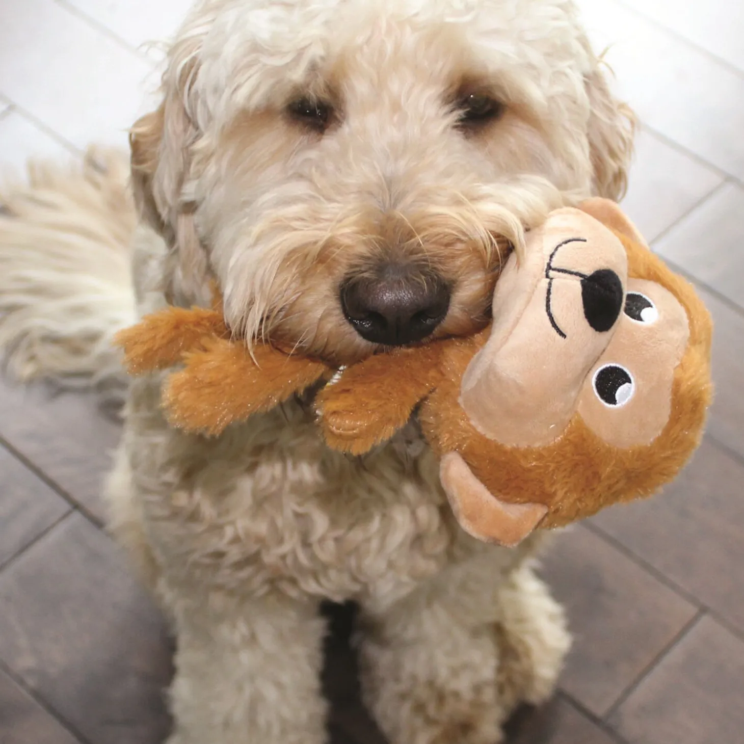 Daddy Monkey dog plush
