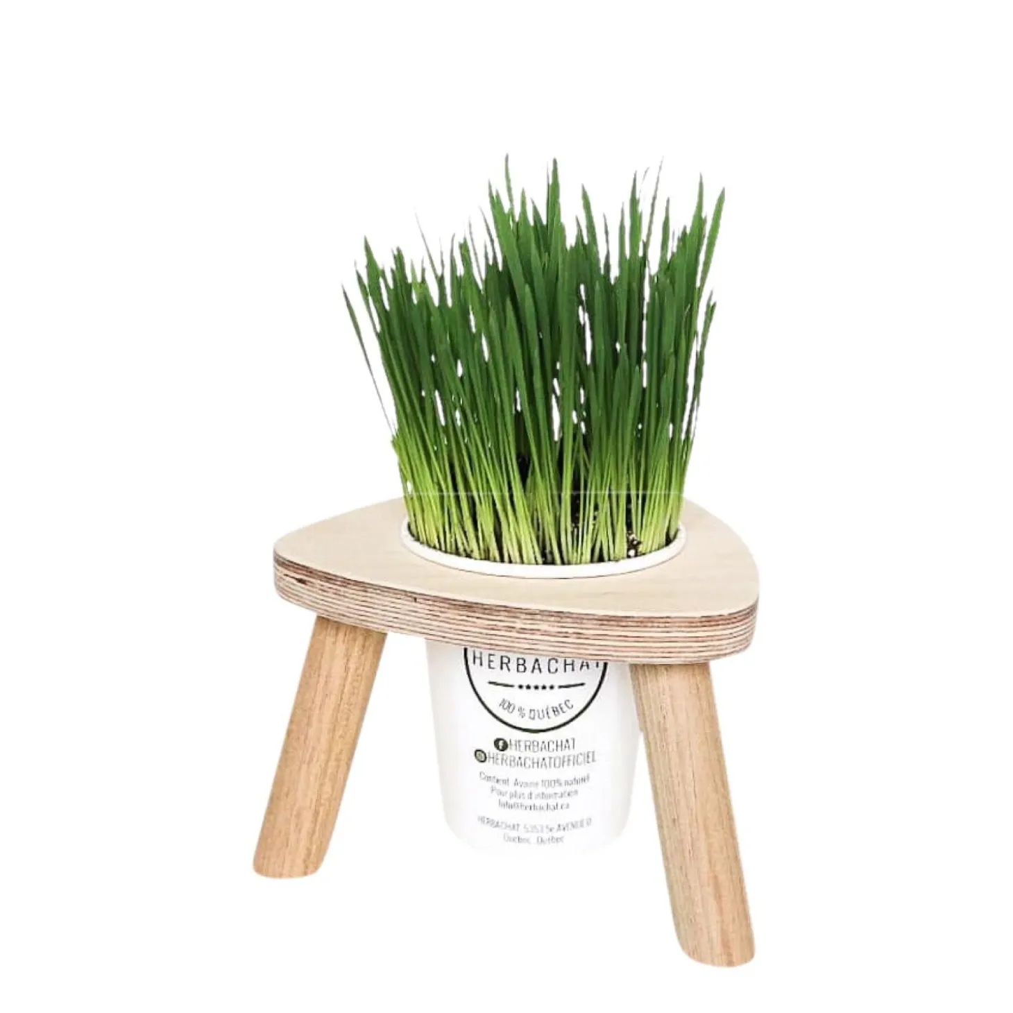 Demi-Portion Cat Grass Station