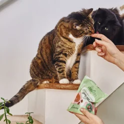 Dental Bites for Cats, Salmon Flavour