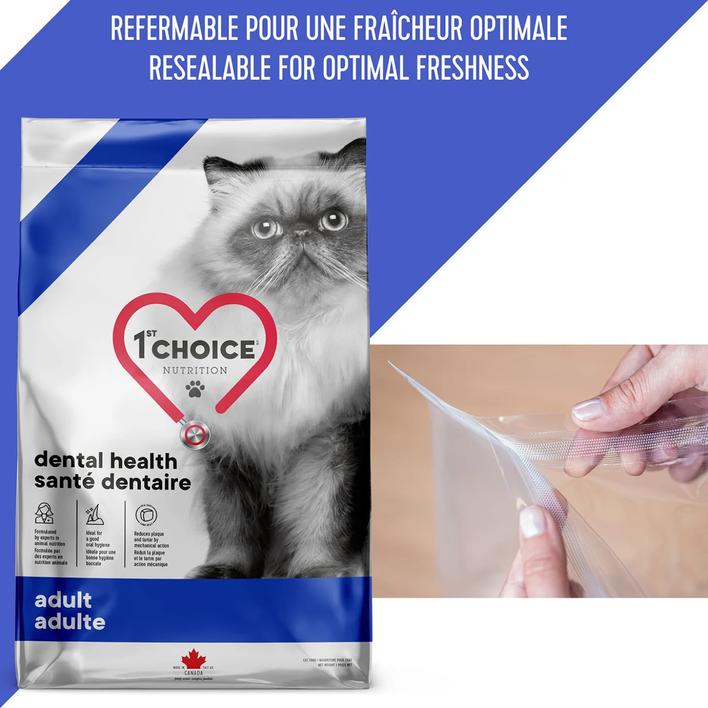 Dental health chicken formula for adult cats