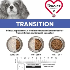 Dental Health Formula For All Breed Adult Dogs