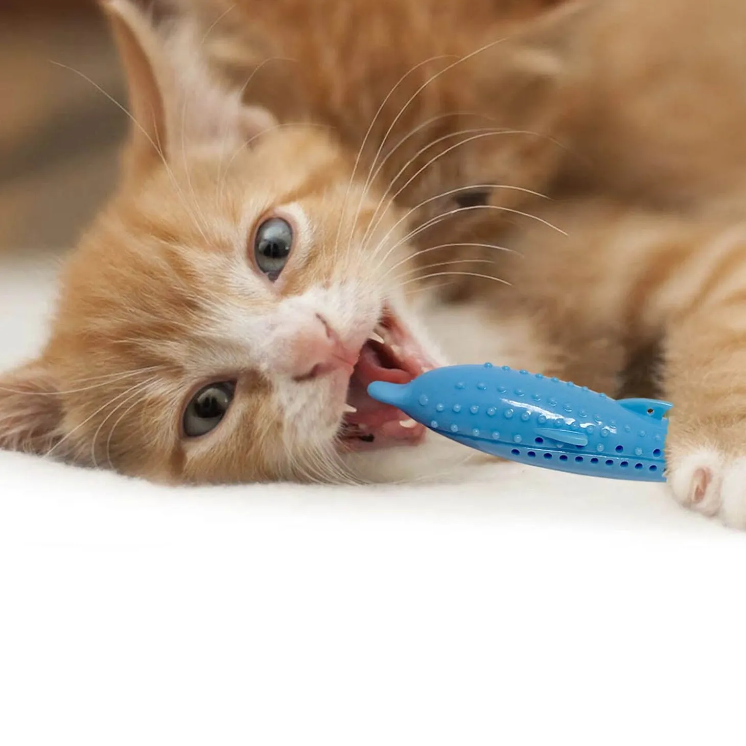 Dental toy for cats, dolphin
