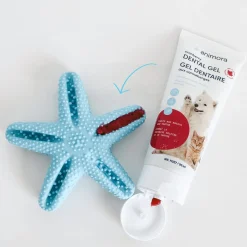 Dental Toy Star
