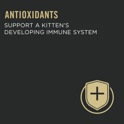 Development Chicken & Liver Entrée Wet Kitten Food, 85 g