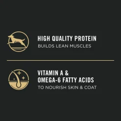 Development Chicken & Rice Formula, Dry Puppy Food, 15.4 kg