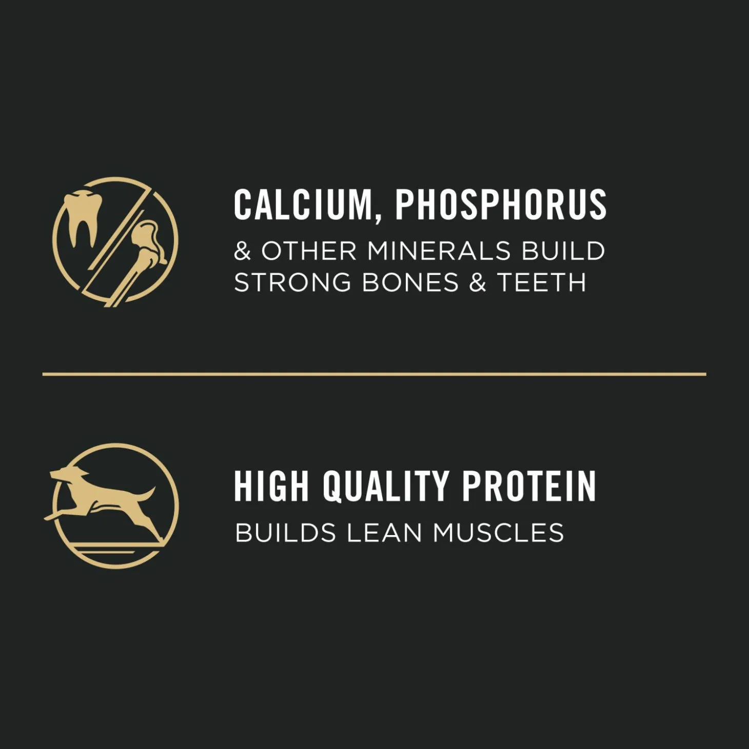 Development Shredded Blend Chicken & Rice Dry Puppy Formula,15.4 kg