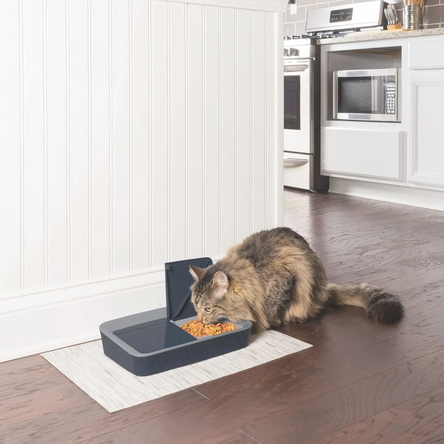 Digital 2 meal feeder