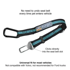 Direct to Seatbelt Tether, Coastal Blue