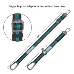 Direct to Seatbelt Tether, Coastal Blue
