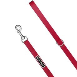 Dog Leash