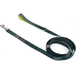 Dog Leash