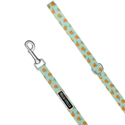 Dog Leash